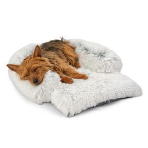 Frost Bolstered Nap Mat Canine Mattress with Crate Compatibility