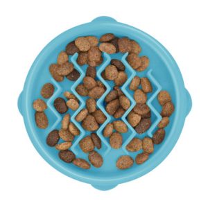 Small Blue Kitty Gradual Feed Cat Bowl